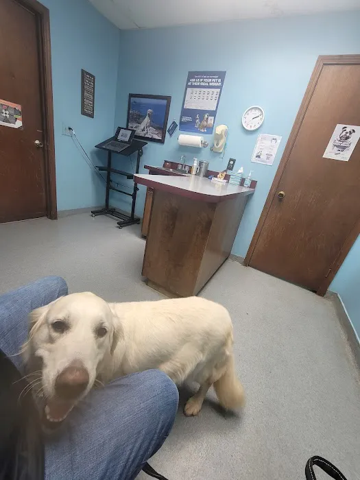 Newcastle Animal Hospital Picture 5