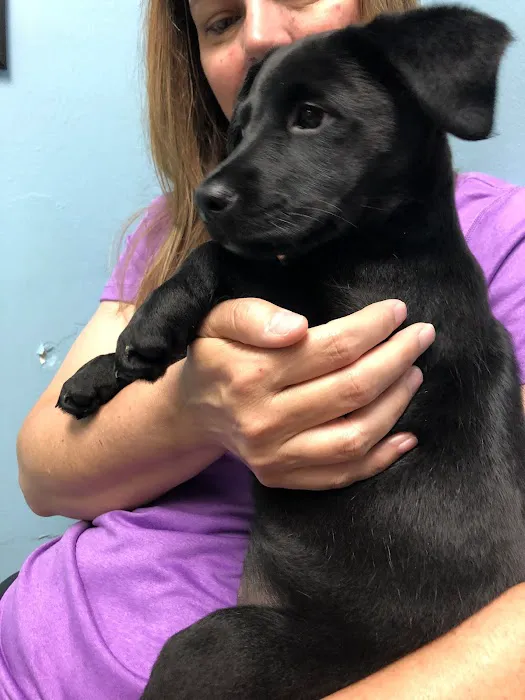 Newcastle Animal Hospital Picture 3