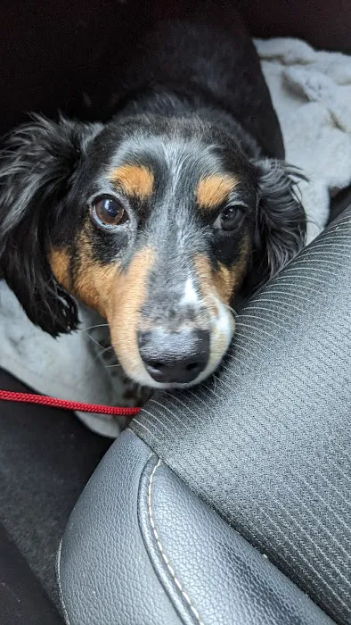 Newcastle Animal Hospital Picture 10