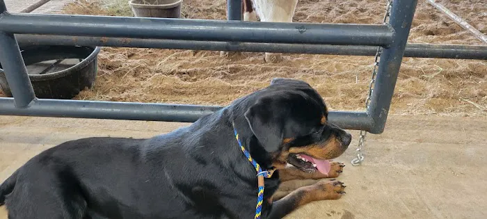 Professional Animal Health Center Picture 3