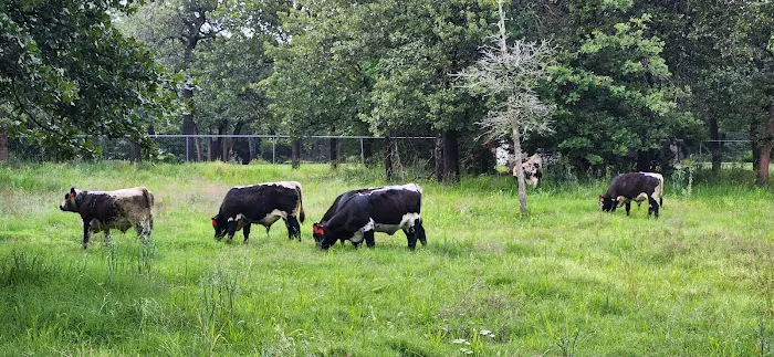 Professional Animal Health Center Picture 2