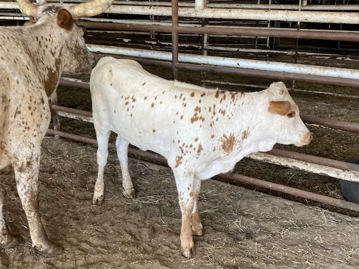 Professional Animal Health Center Picture 8