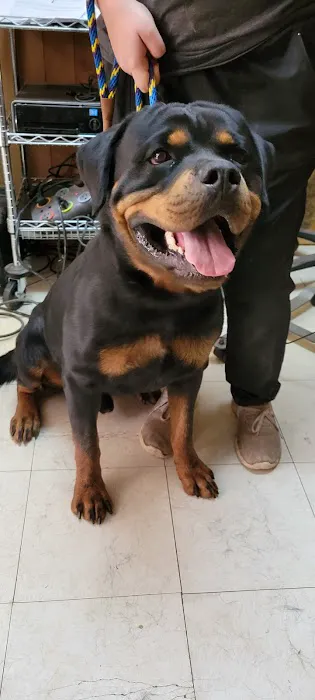 Professional Animal Health Center Picture 6