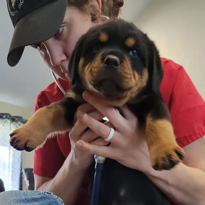 Professional Animal Health Center Picture 7