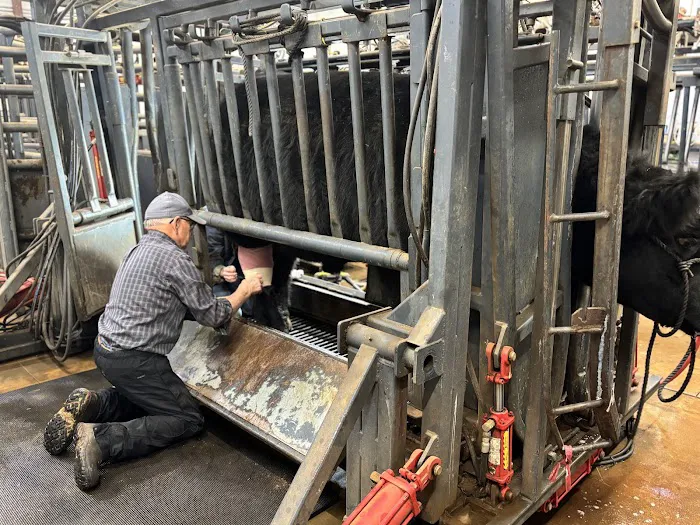 Professional Animal Health Center Picture 5