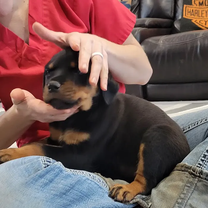 Professional Animal Health Center Picture 10