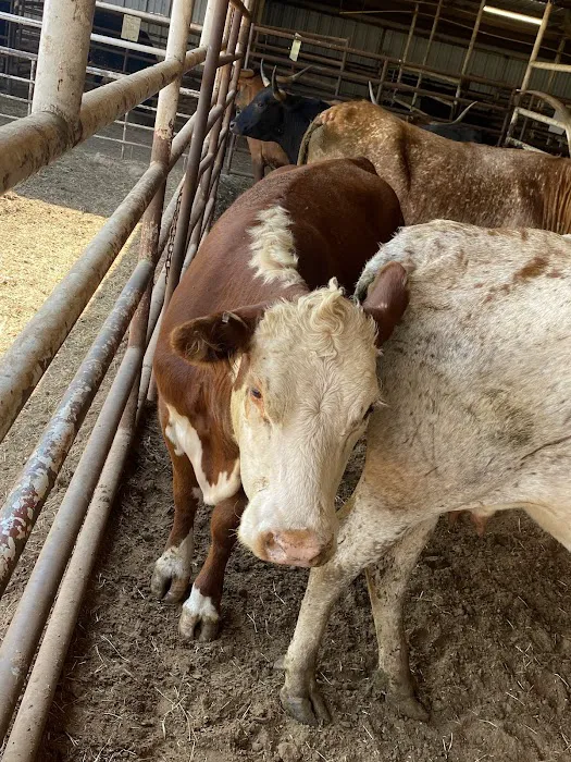 Professional Animal Health Center Picture 9