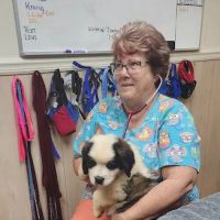 Maness Veterinary Services ico