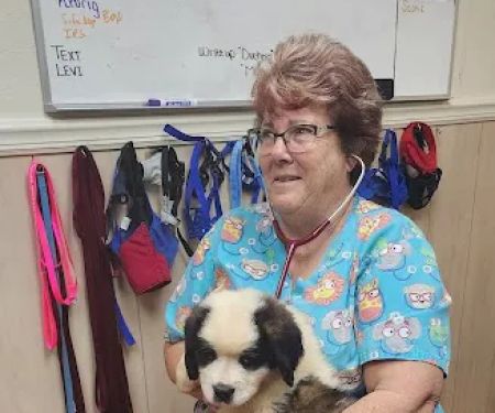 Maness Veterinary Services