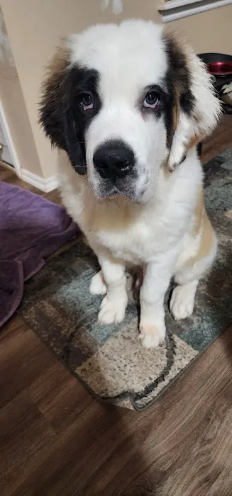 Maness Veterinary Services Picture 4