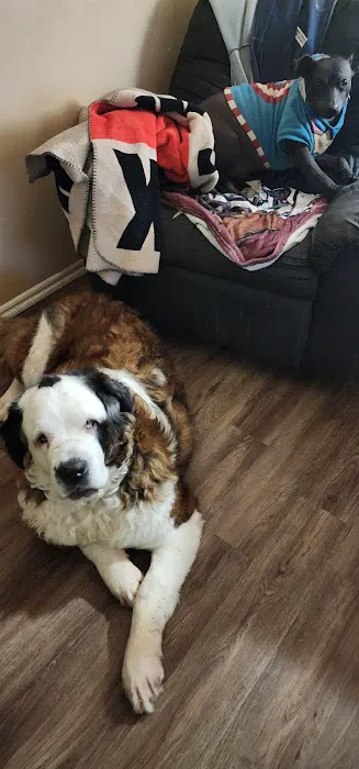 Maness Veterinary Services Picture 3