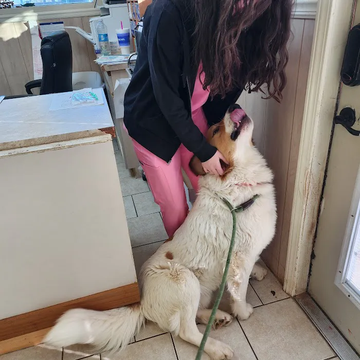 Maness Veterinary Services Picture 6