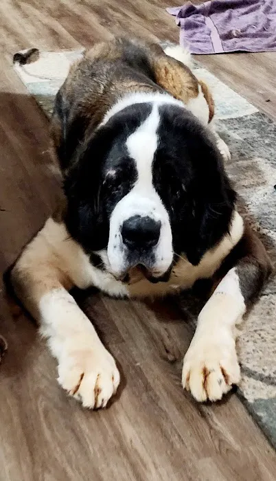 Maness Veterinary Services Picture 8