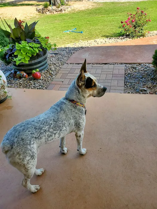 Maness Veterinary Services Picture 7