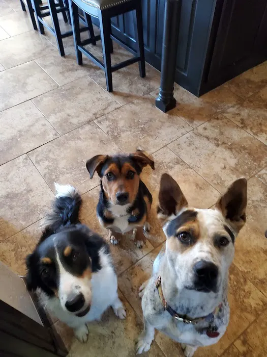 Maness Veterinary Services Picture 10