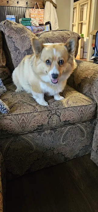 Blackwell Animal Hospital Picture 2