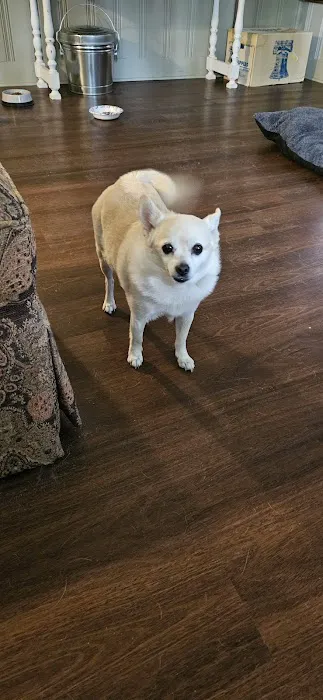 Blackwell Animal Hospital Picture 1