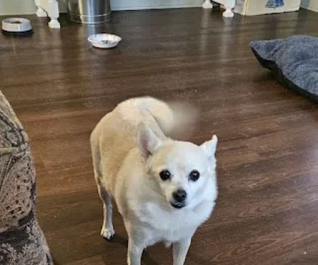 Blackwell Animal Hospital