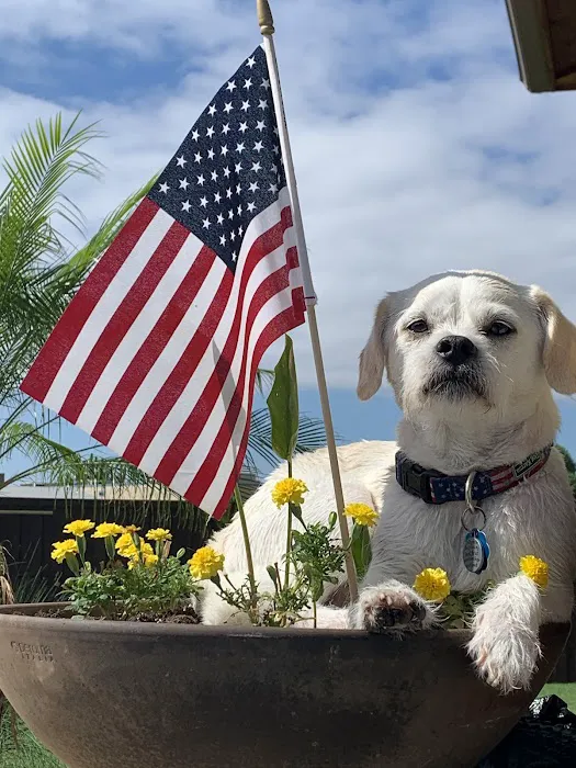 Blackwell Animal Hospital Picture 5