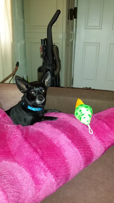 Blackwell Animal Hospital Picture 6