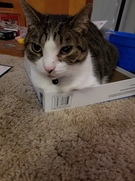 Blackwell Animal Hospital Picture 4