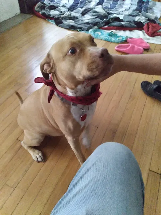 Blackwell Animal Hospital Picture 9