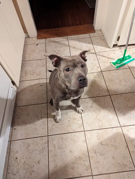 Blackwell Animal Hospital Picture 7