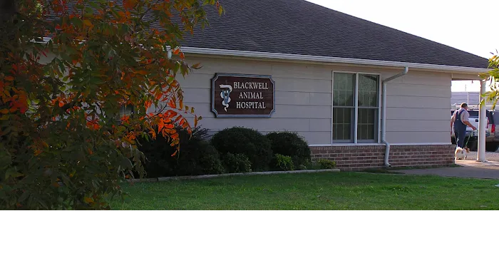 Blackwell Animal Hospital Picture 10
