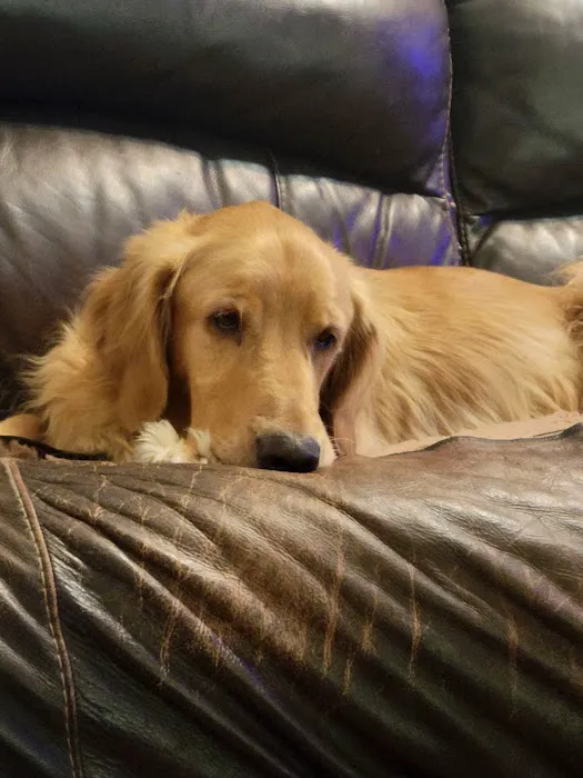 Quality Care Animal Hospital Picture 1