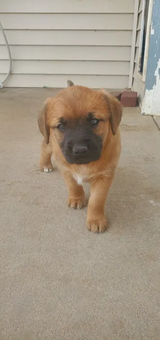 Quality Care Animal Hospital Picture 3