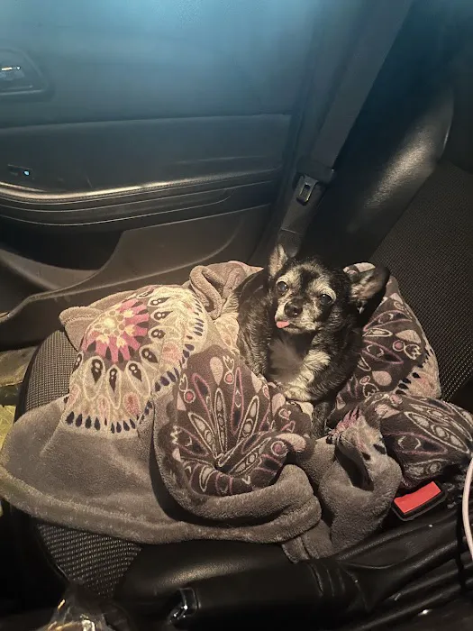 Quality Care Animal Hospital Picture 2