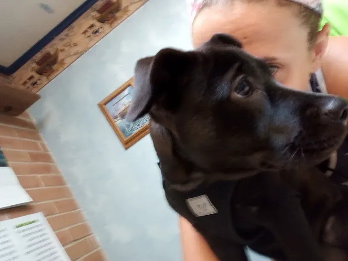 A. C. Veterinary Clinic Picture 3