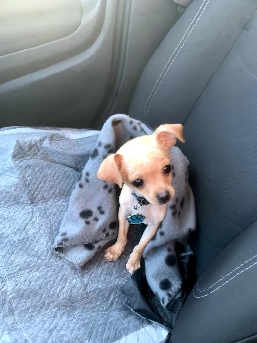 A. C. Veterinary Clinic Picture 2