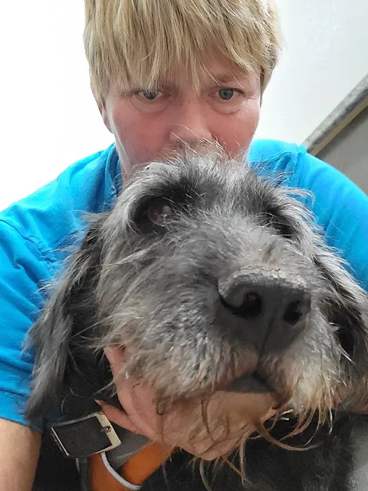 Cottonwood Animal Clinic Picture 10