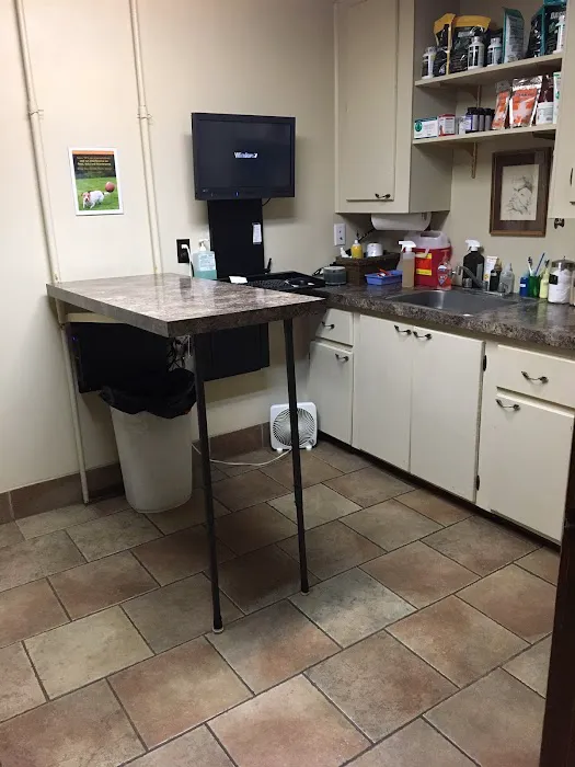 Cottonwood Animal Clinic Picture 8