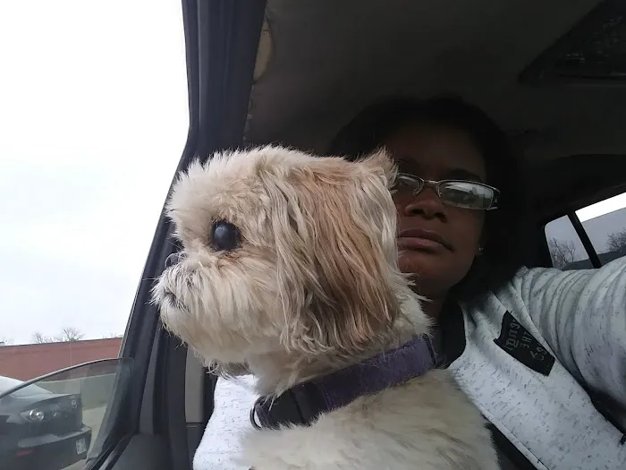 Quail Creek Veterinary Clinic Picture 3