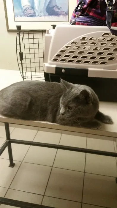 Quail Creek Veterinary Clinic Picture 1