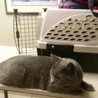 Quail Creek Veterinary Clinic ico