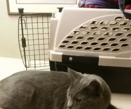 Quail Creek Veterinary Clinic