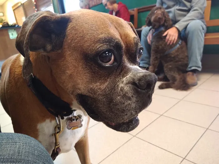 Quail Creek Veterinary Clinic Picture 6