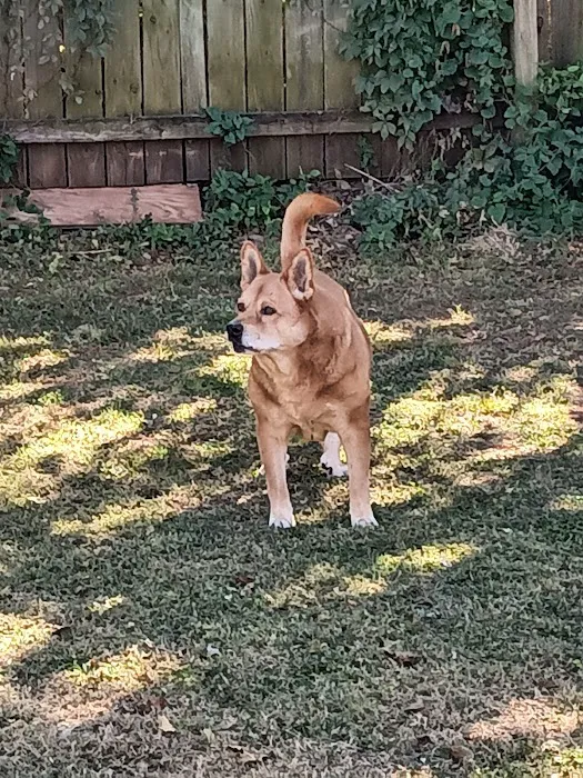 Quail Creek Veterinary Clinic Picture 5
