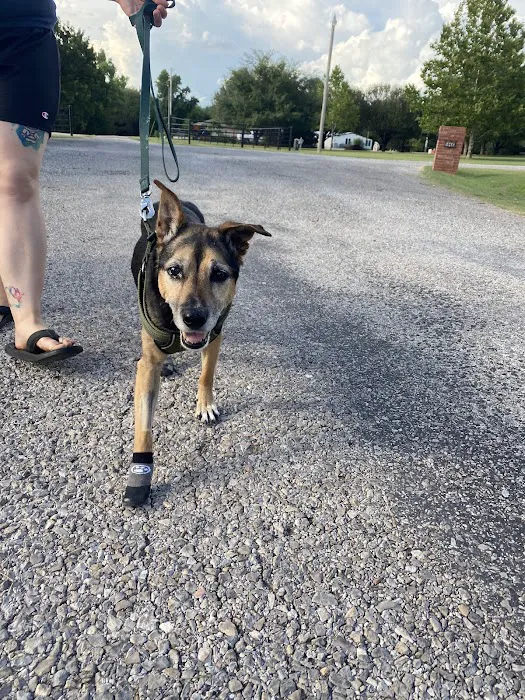Quail Creek Veterinary Clinic Picture 9