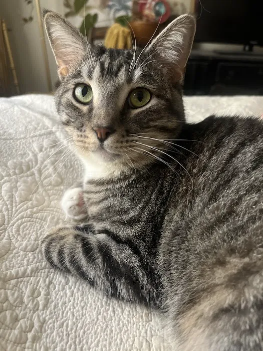 Quail Creek Veterinary Clinic Picture 8