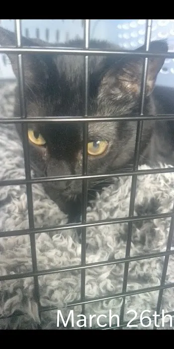 Animal Eye Clinic Picture 1