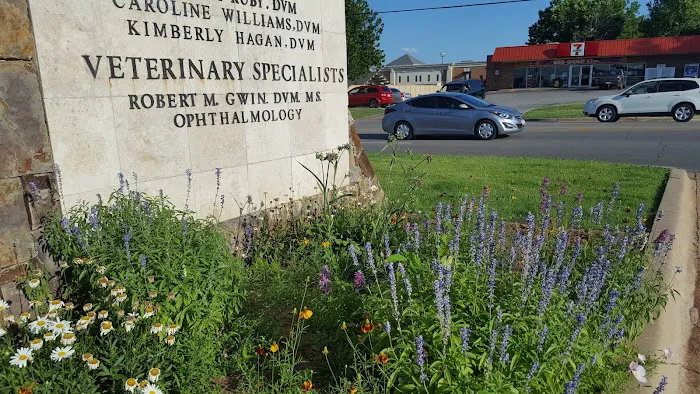 Animal Eye Clinic Picture 10