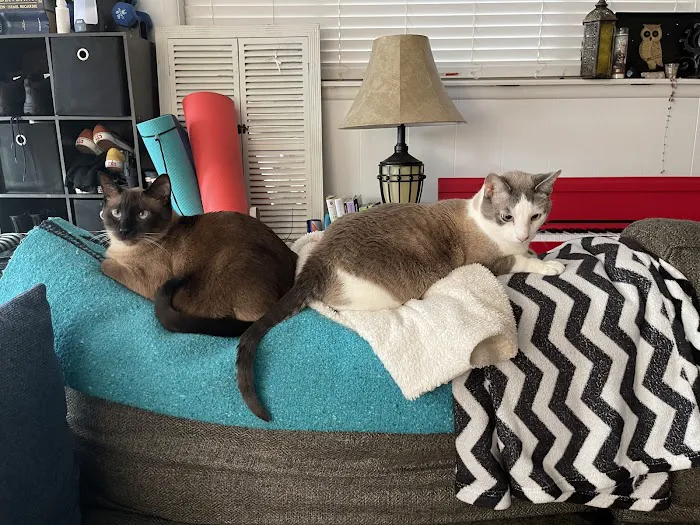 Heintz Veterinary Care Picture 1