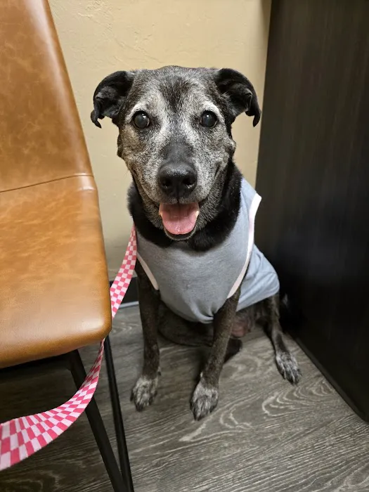 Heintz Veterinary Care Picture 2