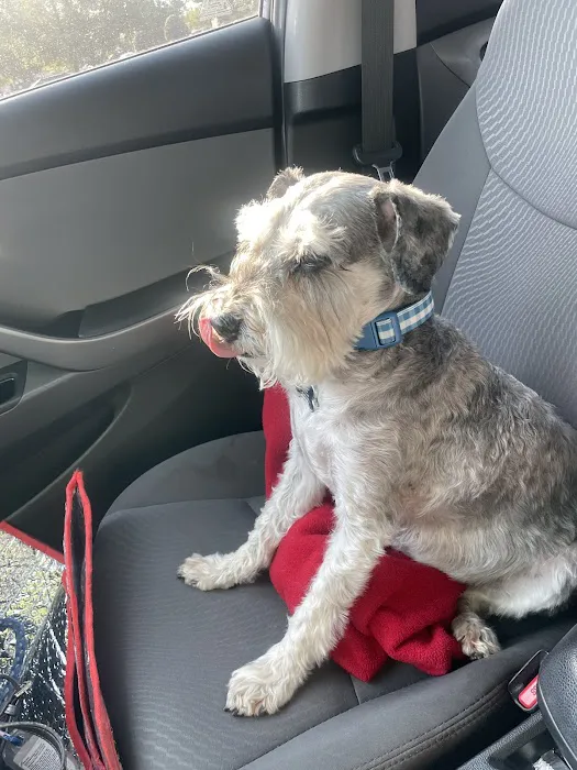 Heintz Veterinary Care Picture 7