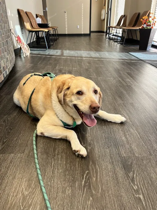 Heintz Veterinary Care Picture 10