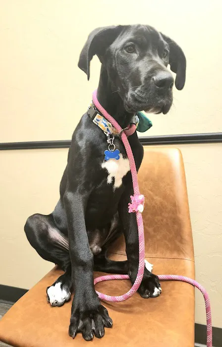 Heintz Veterinary Care Picture 9